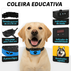 Coleira Educativa – Educação Suave e Eficaz para Cães