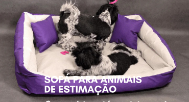 cesto de cachorro