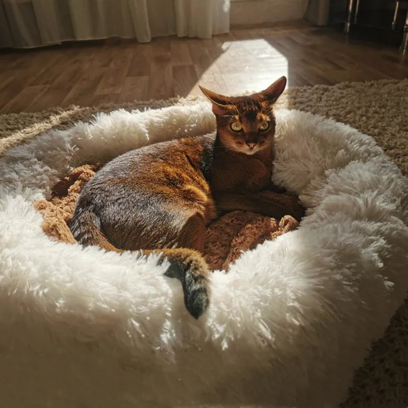 Cama Super Macia para Cães e Gatos