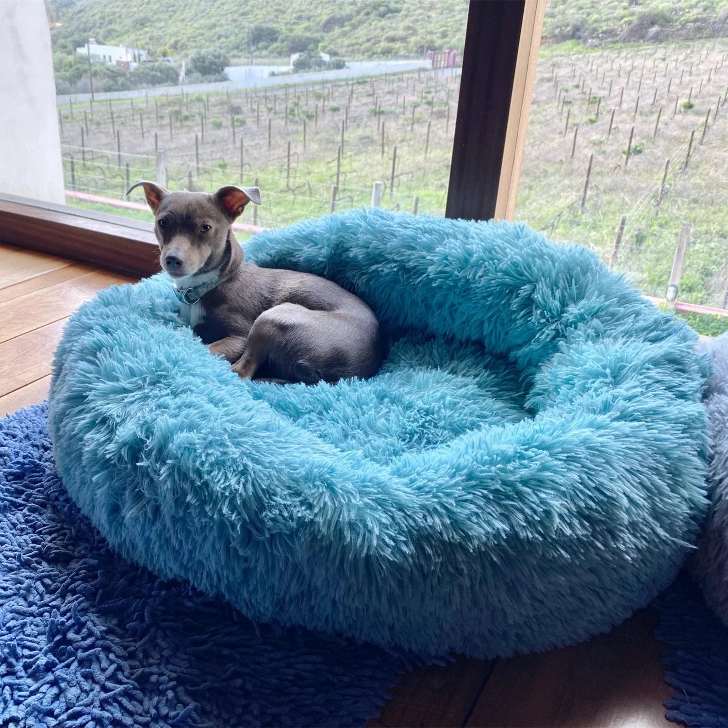 Cama Super Macia para Cães e Gatos